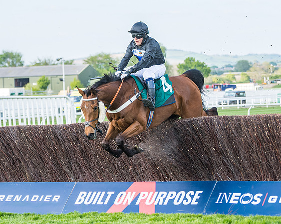 Race 1 - The open Hunter chase  (67 of 95)