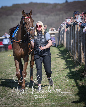 Race 6 - Veteran horse (12 of 109)
