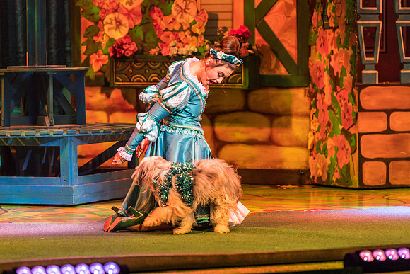 Swan Panto 2017