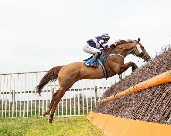Race 2 - Veteran Horse (98 of 153)