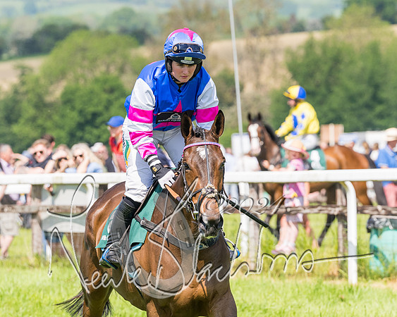 Race 2 - The Maiden  (49 of 442)