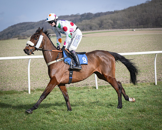 Race 3 - The Maiden Conditions (36 of 214)