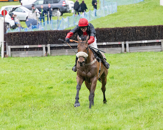 Race 8 - Bumper Div 2 (65 of 84)