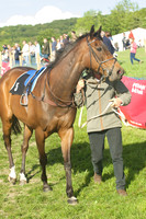 PNY_0569