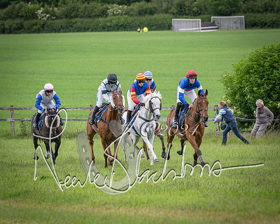 Race 2 - PPORA Members conditions race for Novice riders (46 of 127)