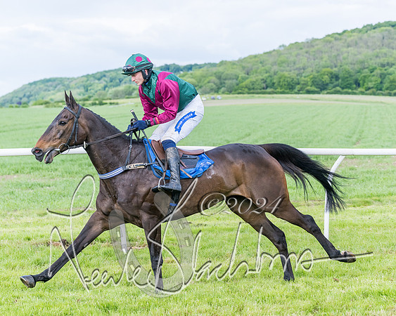 Race 5 - Restricted Race (114 of 434)