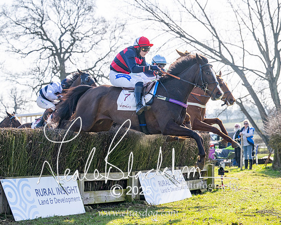 Race 1 - Maiden (119 of 188)