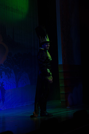 Swan Panto 2017