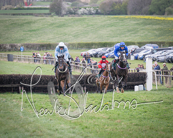 Race 2 - Tattersalls Cheltenham 4 year old Maiden (37 of 85)