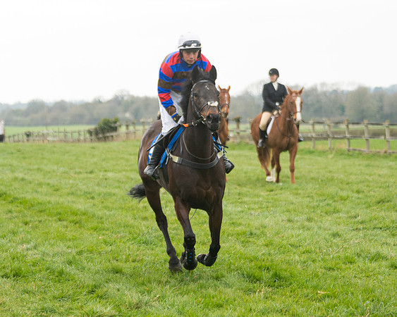 Race 3 - Open maiden  (12 of 273)