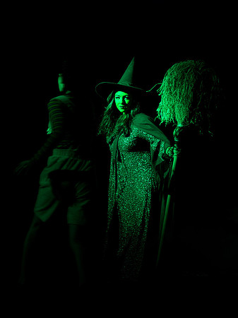 The Wizard of OZ -  295