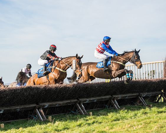 Race 5 - Restricted (20 of 146)