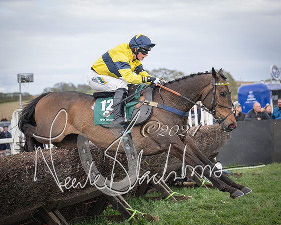 Race 3 - 5 years old and Over Maiden Race (69 of 130)
