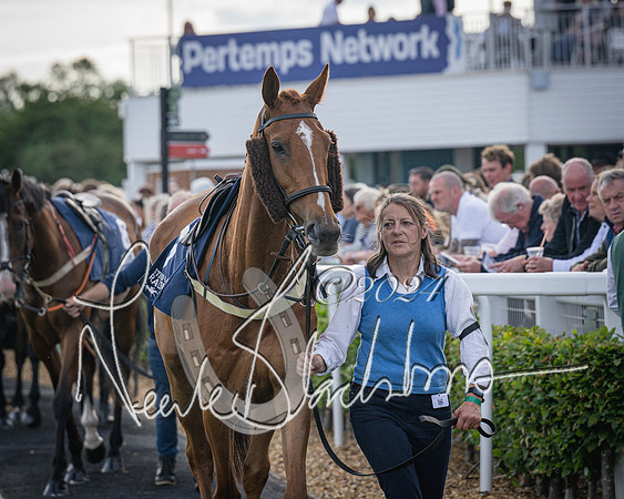 Race 3 - The pointtopoint.co.uk champion novices’ Hunter Chase (24 of 140)