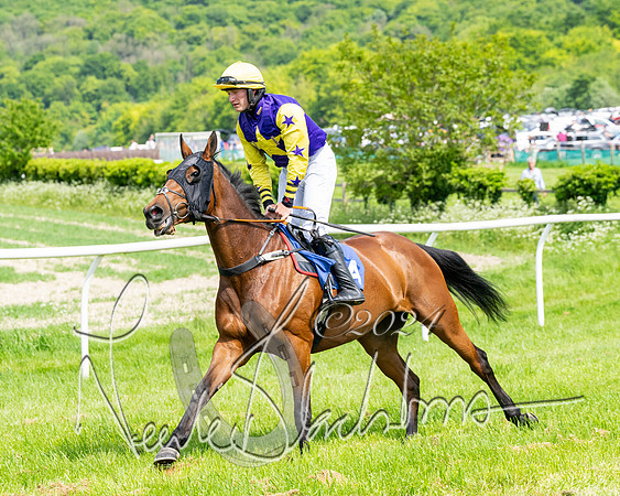 Race 2 - Restricted  (151 of 308)