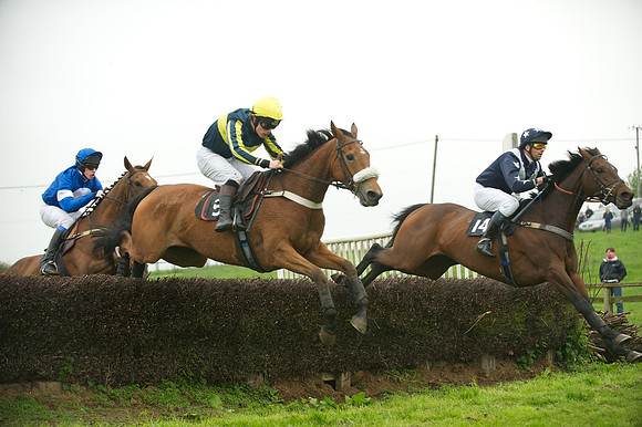 Race 2 - Novices 39