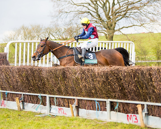 Race 5 - Restricted  (52 of 118)