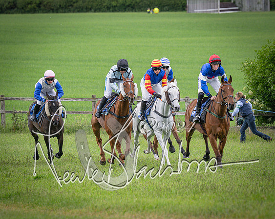 Race 2 - PPORA Members conditions race for Novice riders (47 of 127)