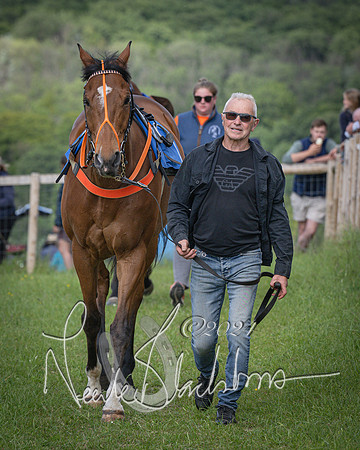 Race 4 - The Dickie Lim Mixed Open Race (6 of 101)