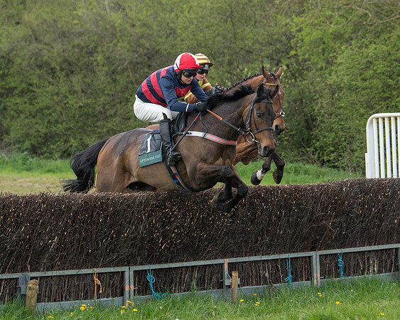 Race 2 - Jockey Club ROR veteran Horse (28 of 104)