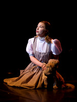 The Wizard of OZ -  8