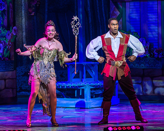 Swan Panto 2017