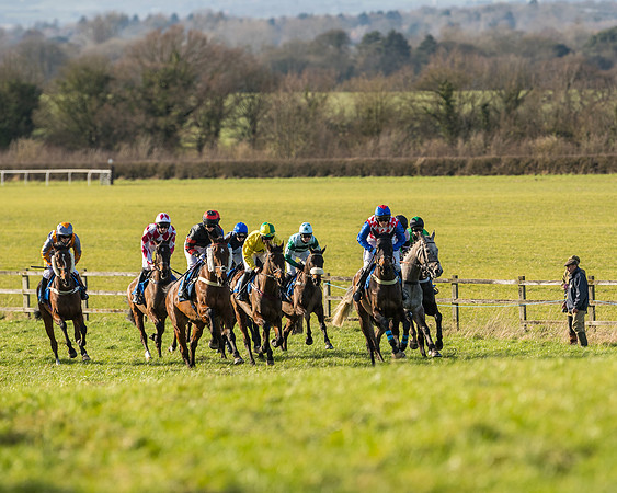 Race 5 - Restricted (10 of 146)