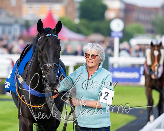 Race 4 - Stratford Foxhunters (12 of 145)