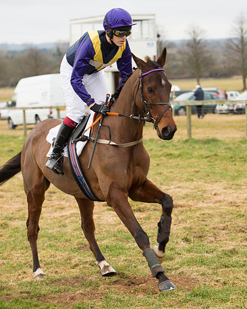 Race 6 - Open Maiden (20 of 100).jpg