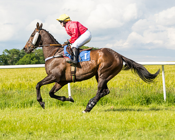 Race 5 - Restricted  (34 of 136)