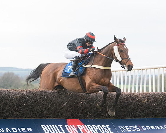 Race 6 - The Restricted Race (107 of 200)