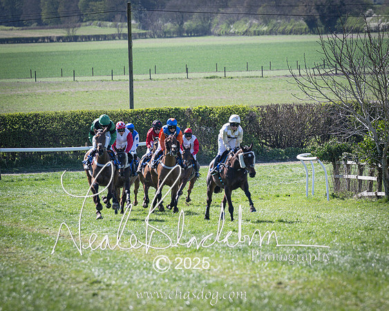 Race 4 - Mixed Open (92 of 168)