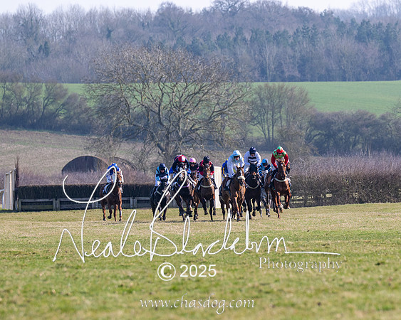 Race 1 - Maiden (110 of 188)