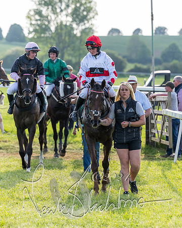 Race 7 - Veteran Horse (180 of 246)