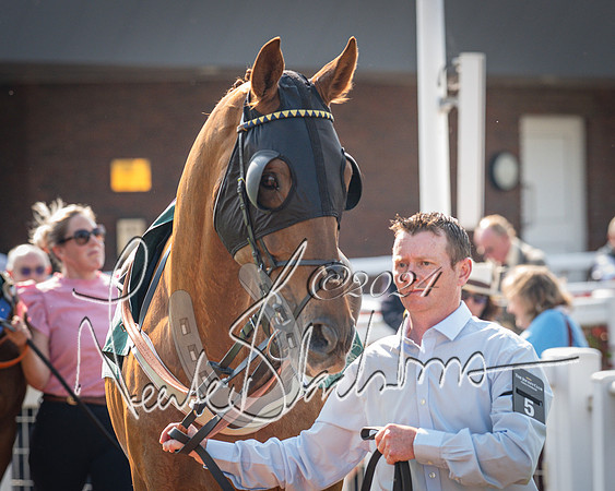 Race 1 - The Bottle Green Open Hunters steeplechase 2m62y (10 of 93)
