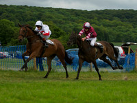 Pony Race - 8