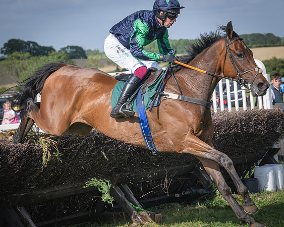 Race 6 - 2m5f Conditions (46 of 70)