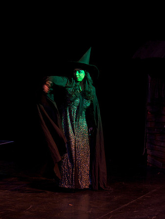 The Wizard of OZ -  179