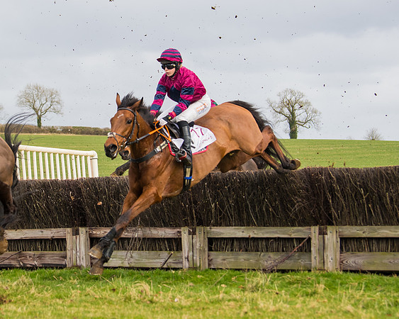 Race 2 - Open Maiden (64 of 128)