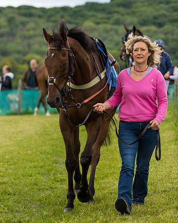 Race 2 - PPORA Novice Riders  (3 of 187)
