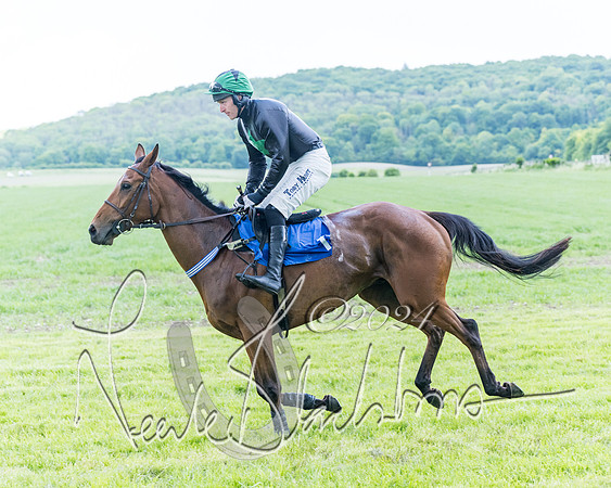 Race 3 - Conditions (87 of 367)