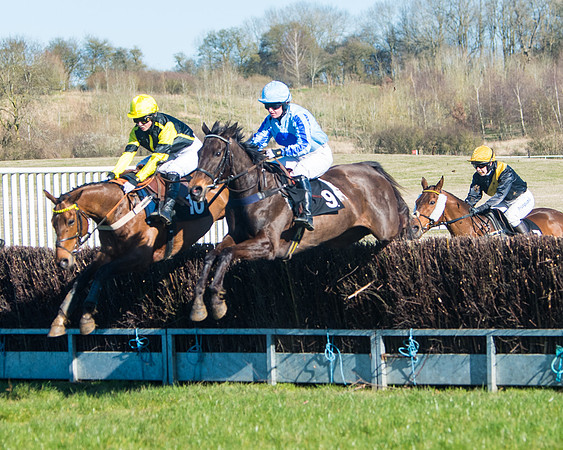 Race 4 - Ladies Open  (17 of 200)