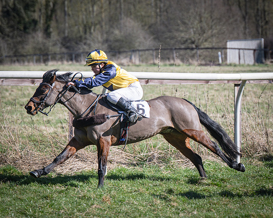 Pony Races (39 of 112)