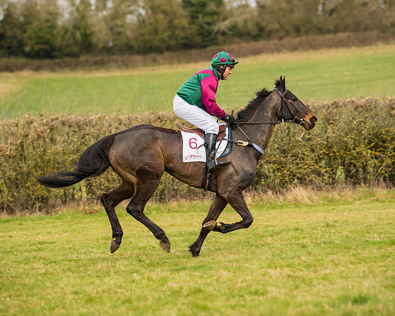Race 2 - Open Maiden (9 of 128)