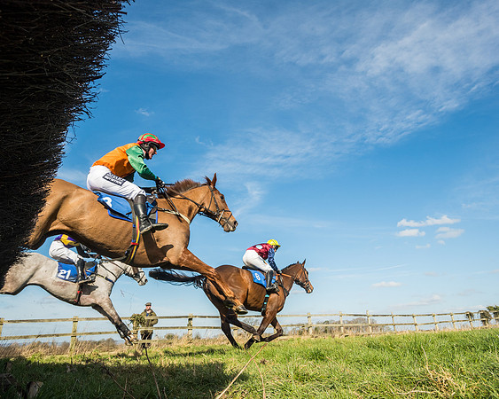 Race 1 - Open Maiden Division 2 (88 of 173)