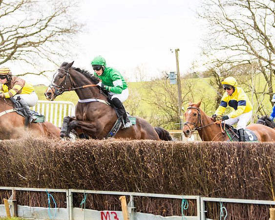 Race 6 - 6 year old and over Maiden 2m4f (15 of 62)