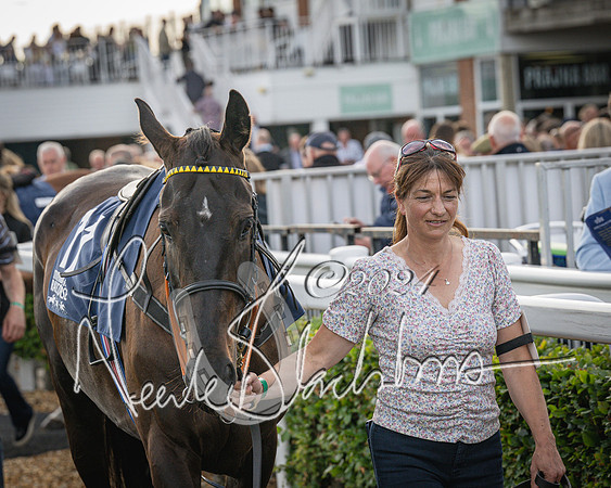 Race 3 - The pointtopoint.co.uk champion novices’ Hunter Chase (15 of 140)