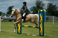 SOHS PC Summer Show at BCA 17th June 2012