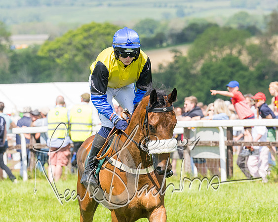 Race 2 - The Maiden  (61 of 442)