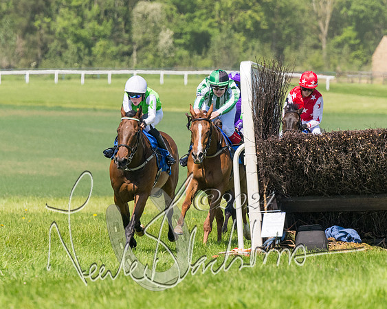 Pony Races  (58 of 141)